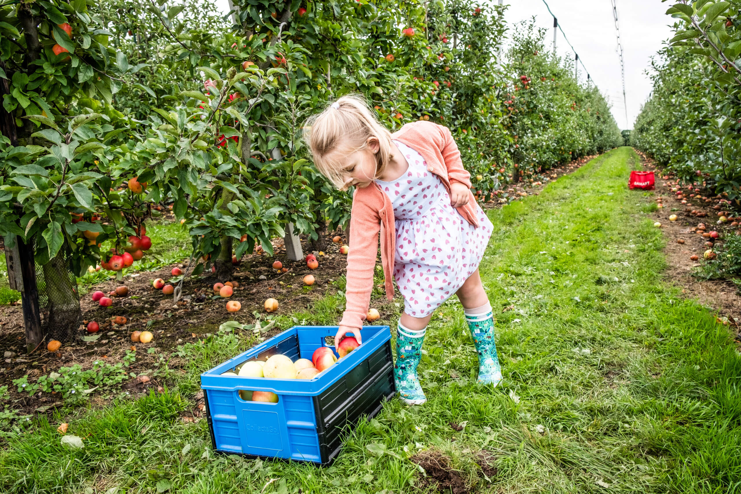 Hasp’O Stadsrand Toerisme SintTruiden